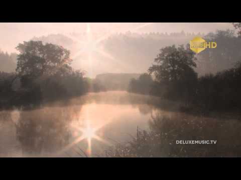 Kitty The Bill - Hide Yourself