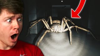 I was ATTACKED by a GIANT SPIDER! - Huntsman