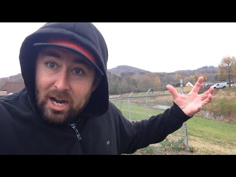 TheDailyWoo - 865 (11/13/14) King Kong Lives !