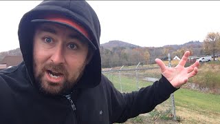 TheDailyWoo - 865 (11/13/14) King Kong Lives !