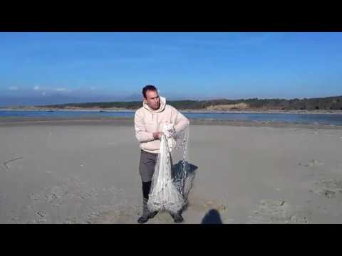 Boschi Alessandro Rezzaglio