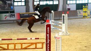 preview picture of video 'Naz.B MVR Show Jumpers Vermezzo 5 Ottobre 2014'