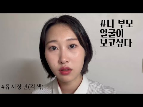 비디오 19
