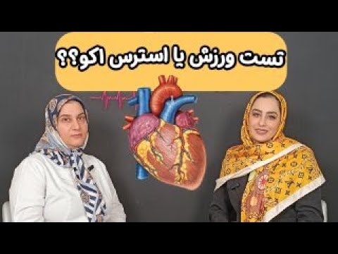 هنوز فکر میکنی استرس اکو خطرناکه؟ پس این ویدیو برای توئه