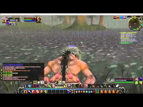 World of Warcraft Classic Leveling  (Nostalrius PvE Server)