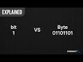Bits And Bytes What And Why