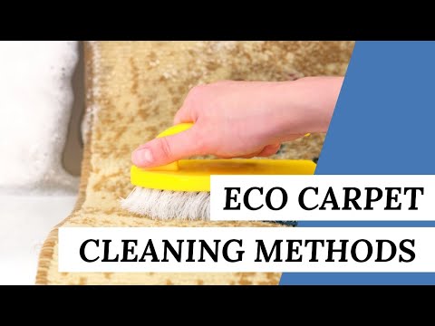 5 Eco-Friendly CARPET CLEANING Methods You Should Always Use | Cleaning Tips