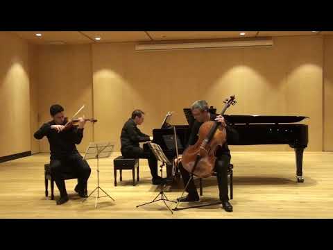 FRIEDRICH PIANO TRIO - V. Novak: Trio "Quasi una ballata" op. 27 (live recording)