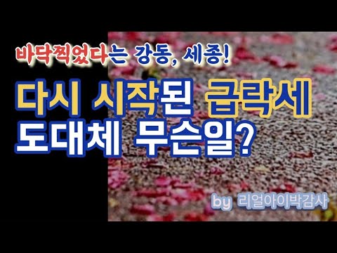 반등한다는 강동, 세종 집값! 다시 시작된 급락세 도대체 무슨일?