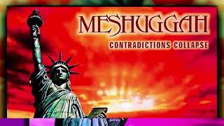 MESHUGGAH - ABNEGATING CECITY