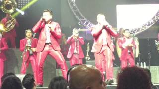 TRAICIONERA LA  ARROLLADORA