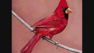 Alexisonfire - Young Cardinals