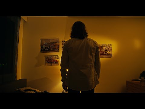 Lauri Haav - Shampoota