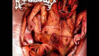 Avulsed-Voracious Backpacker