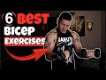 How to Get Bigger Biceps Fast At Home (ARM WORKOUT)