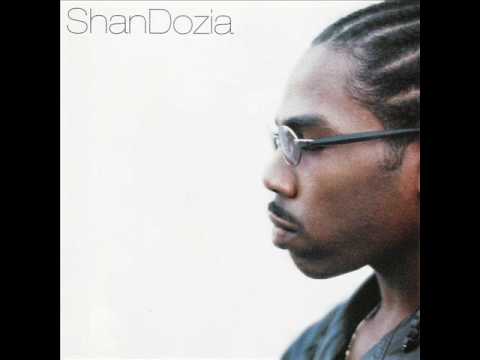 ShanDozia - Damn You