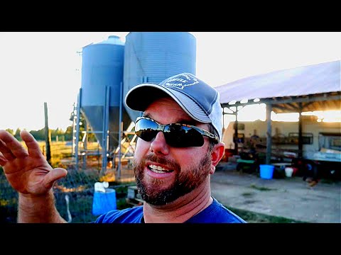 VW Store Status | We are Ready to GO Massive!!