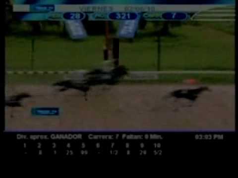 Resumen viernes 2 de julio 2010 - Valencia