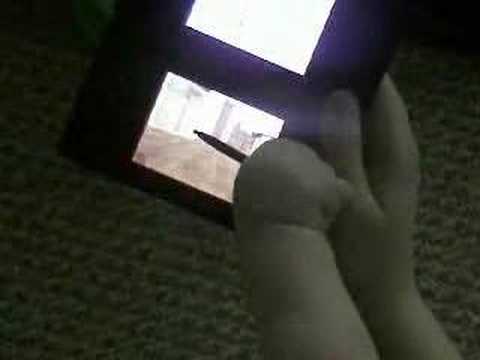 petz catz 2 nintendo ds walkthrough