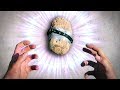 Pet Rock 2