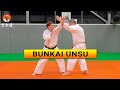 Unsu Bunkai Karate