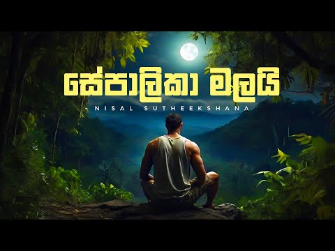 Sepalika Malai (සේපාලිකා මලයි) Cover by Nisal Sutheekshana