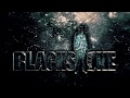 Blackstone "Homelands"