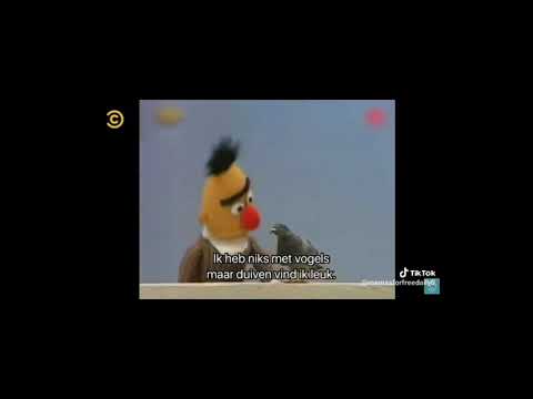 Bert en ernie geer en goor