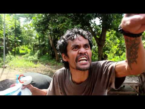 funny video Throw away the trash