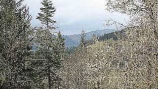 "Memories of Geneva"