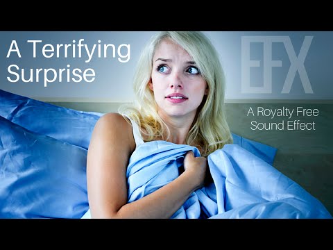 A Terrifying Surprise (Royalty Free Stock Sound Effect)