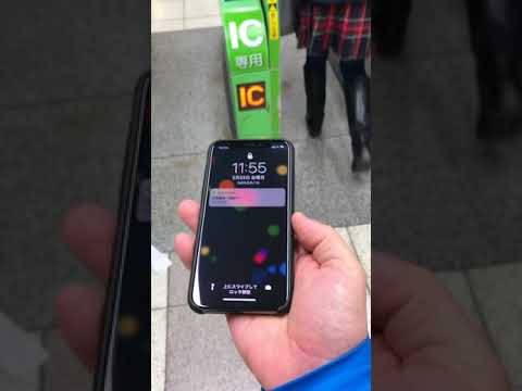 iPhone X bug causing Apple Pay problems for Suica users in Japan