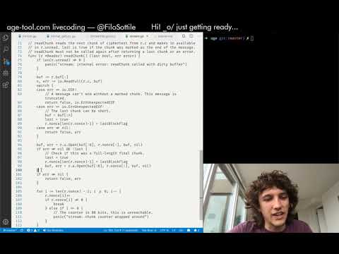 Livecoding age in Go on Twitch — Session 1