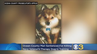 Ocean County Man Gets Jail Sentence For Killing Navy Veteran's Therapy Dog