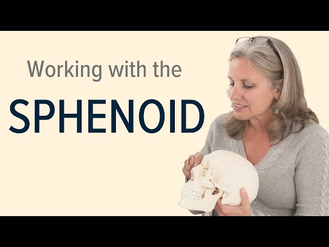 Working with the Sphenoid