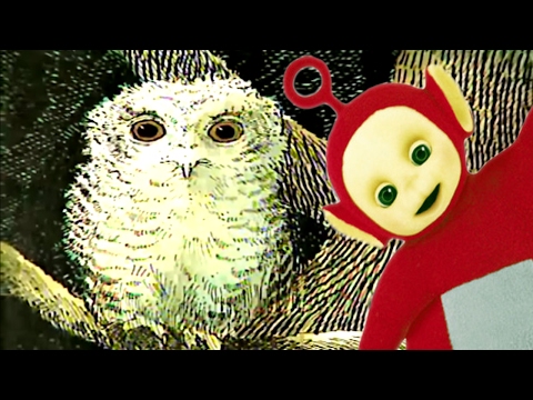 Teletubbies | Owl Babies  | 113 | Videos For Kids