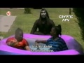 100 Scared People Part 2 Scary AFV Video Clips
