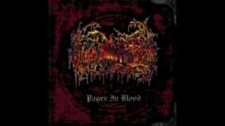 Bloodwritten - Dogstar - Pages in Blood 2000