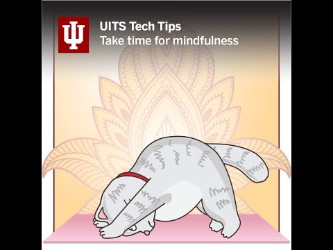 Make Time for Mindfulness