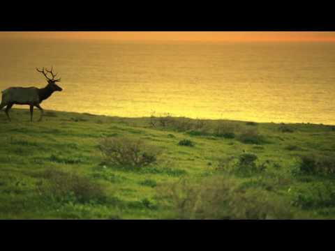 For Annabelle - Band of Horses