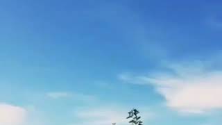 Download lagu Story wa ~ selamat pagi🌈 #vespaindonesia #anakvespa #tiktok #storywa #storyig #storifacebook mp3 Download lagu Story wa ~ selamat pagi🌈 #vespaindonesia #anakvespa #tiktok #storywa #storyig #storifacebook mp3