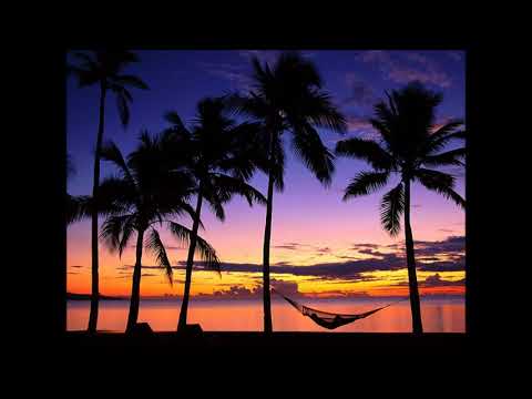 Paul Hertzog - The Morning After (Bloodsport)