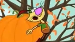 Nature cat out of context