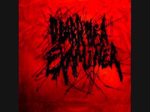 Diarrhea Examiner - I Ride The  Feces Drenched Pony