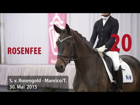 20 Rosenfee Stute v. Rosengold - Manrico/T.
