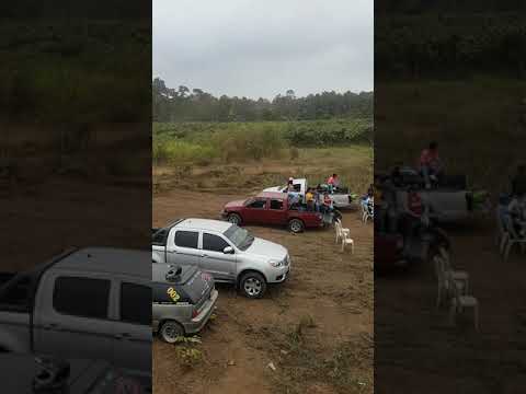 Suzuki ax100 carrera#1