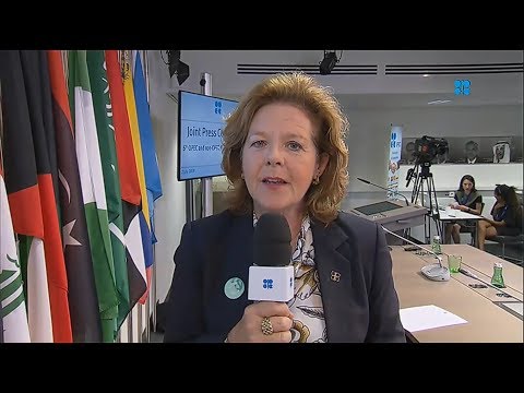 Eithne Treanor in action at OPEC’s summer meeting 2019