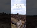 Mountainbiken Tussen Winterberg En Willingen Is De Moeite Waard