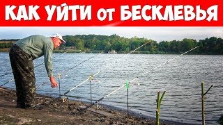 Ссылка