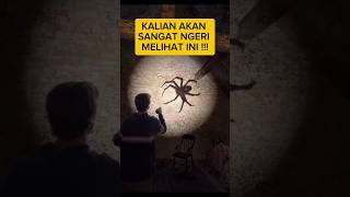 Download lagu LABA LABA RAKSASA 😲😲 #shortsvideo mp3 Download lagu LABA LABA RAKSASA 😲😲 #shortsvideo mp3